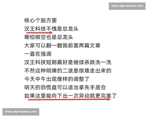 从关键回合到战术转折全面复盘揭示比赛胜负背后的深层逻辑与细节解析 从关键回合到战术转折全面复盘揭示比赛胜负背后的深层逻辑与细节解析