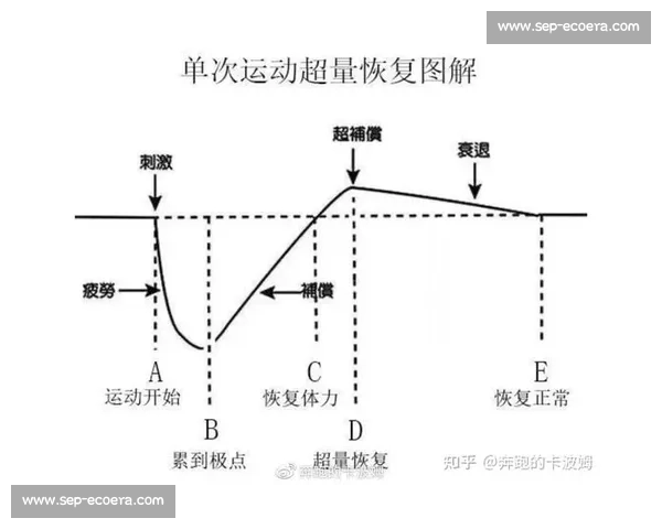 以训练负荷为核心优化运动计划提升身体适应与恢复效率